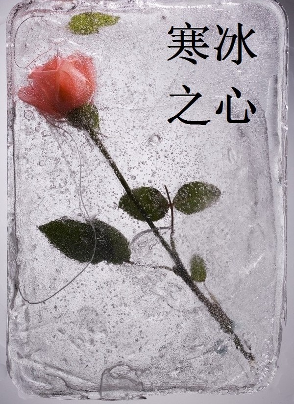 寒冰之心
