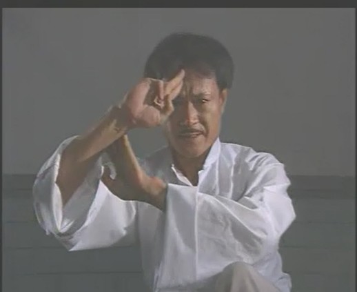 僵尸道长第一部