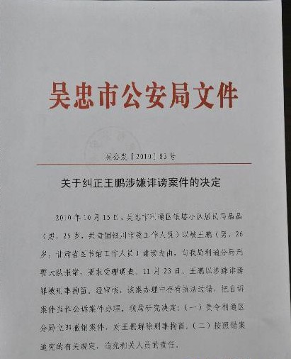 王鹏诽谤案
