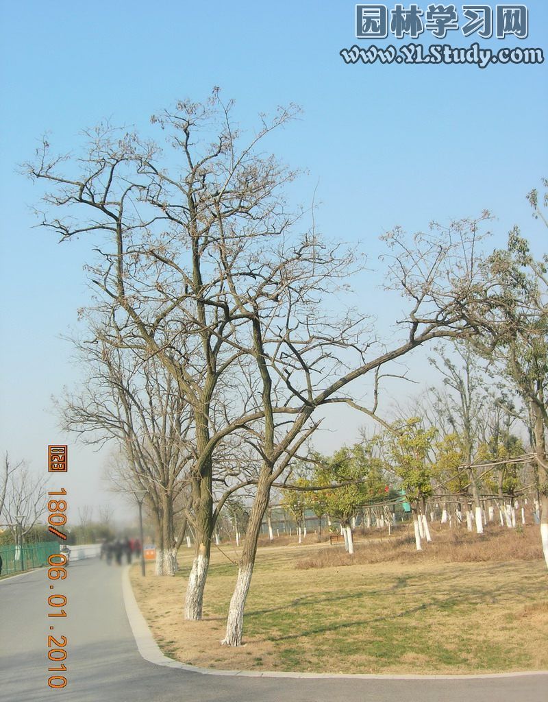 东起胜利村路南下,西至 a target="_blank" href="/item/苜蓿园大街