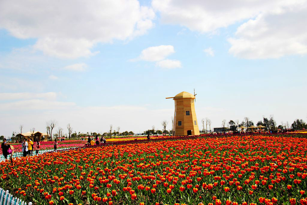  p>温州市龙湾雅林现代农业园是集观光休闲,采摘体验,农业示范,科技