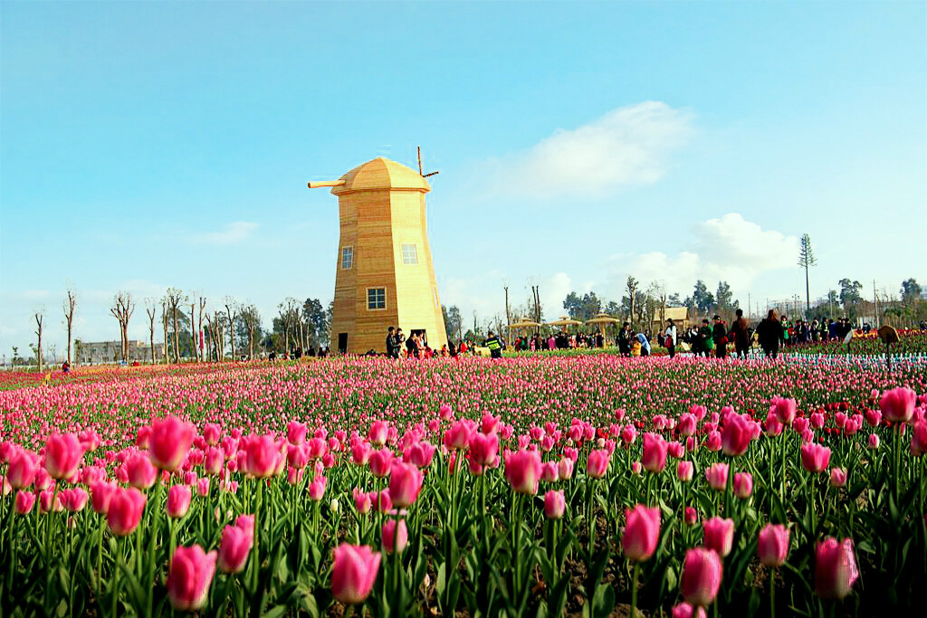  p>温州市龙湾雅林现代农业园是集观光休闲,采摘体验,农业示范,科技