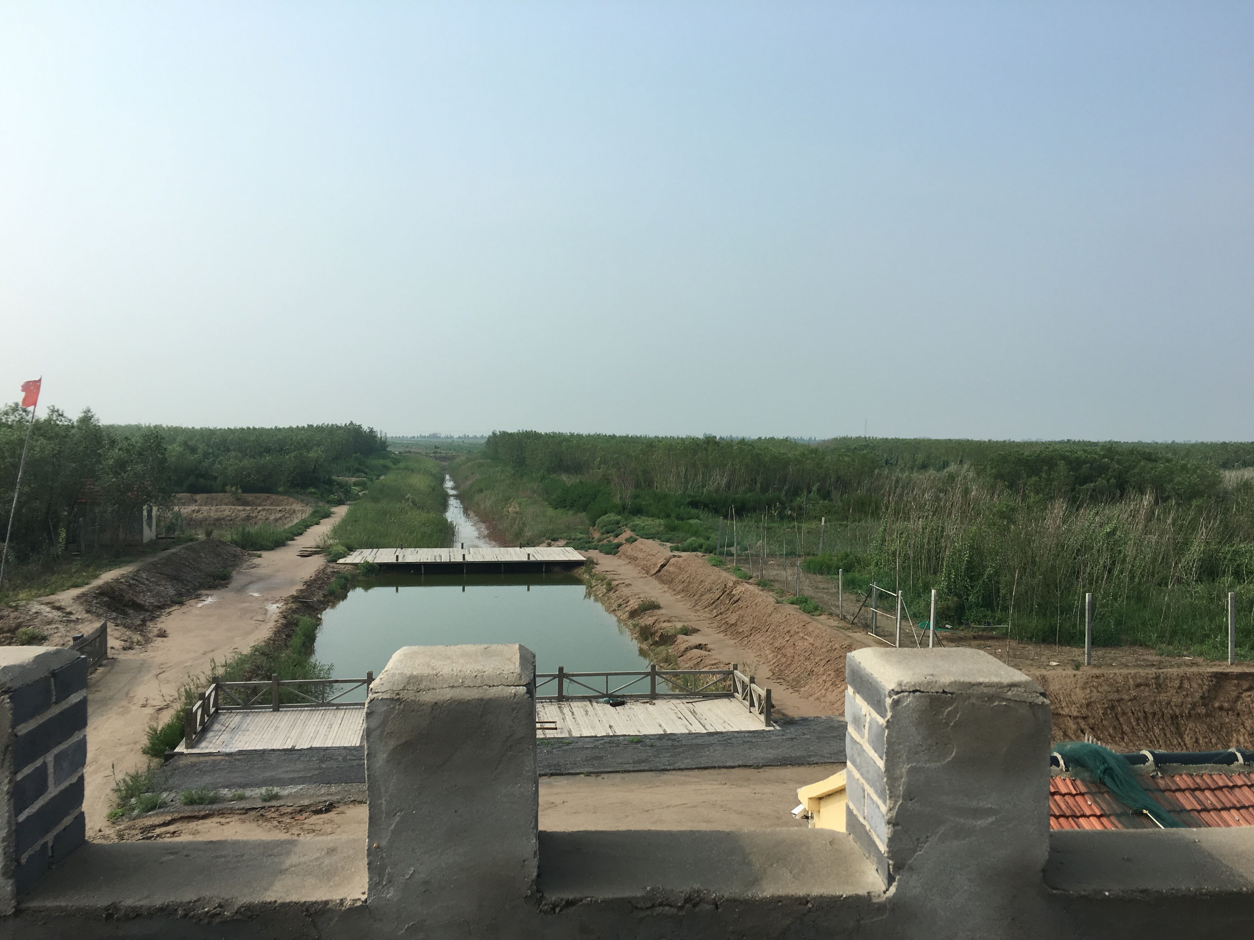 "上农下渔"台田模式