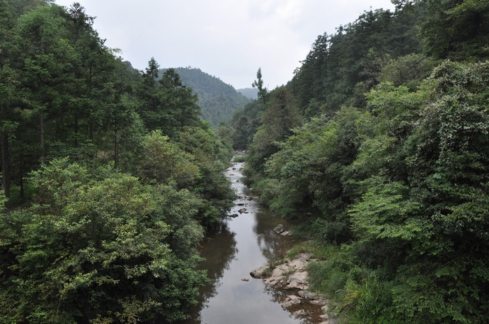 宁化牙梳山省级自然保护区