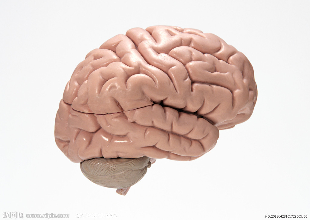  p>人类大脑左,右半球的功能基本相同,但各有特化方面.