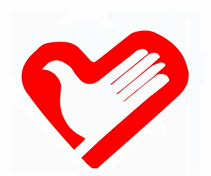 大学生志愿服务西部计划