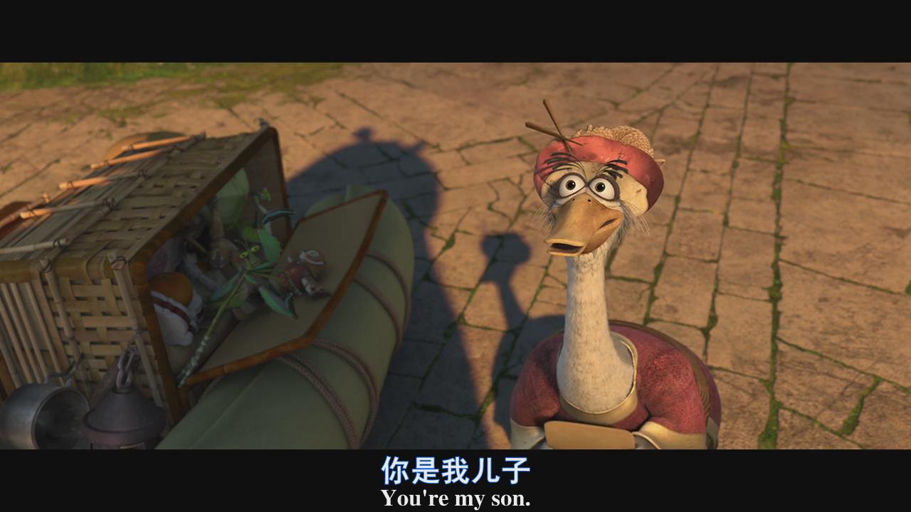 《 a target="_blank" href="/item/功夫熊猫/30666"