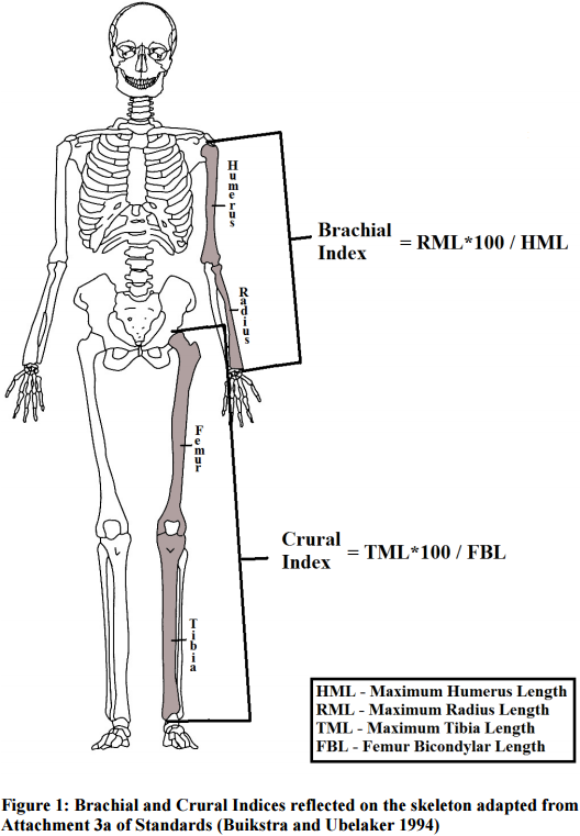 头臂长是什么意思 全网资源