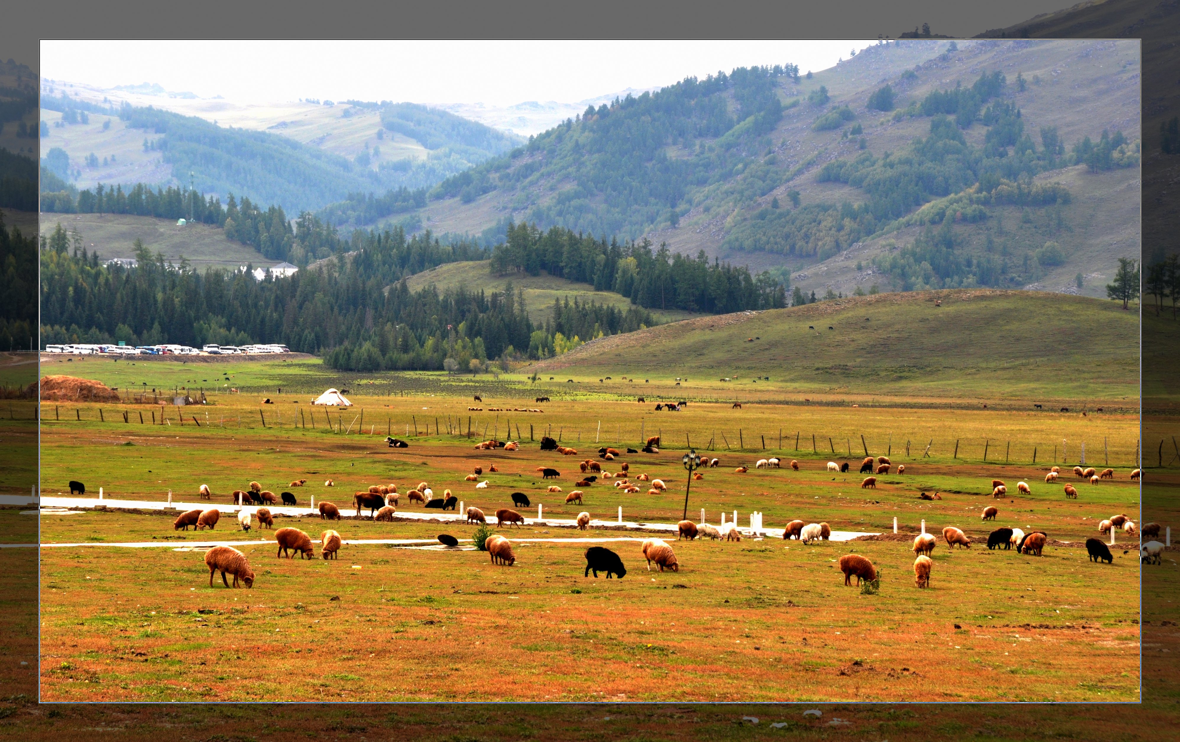 布尔津至喀纳斯旅游带的枢纽,南距布尔津县城48公里,北距喀纳斯机场17