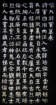 <p>（一）