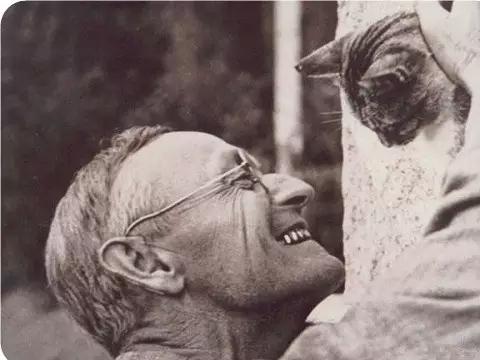  p>赫尔曼·黑塞(hermann hesse,1877年7月2日～1962年8月9日),德国