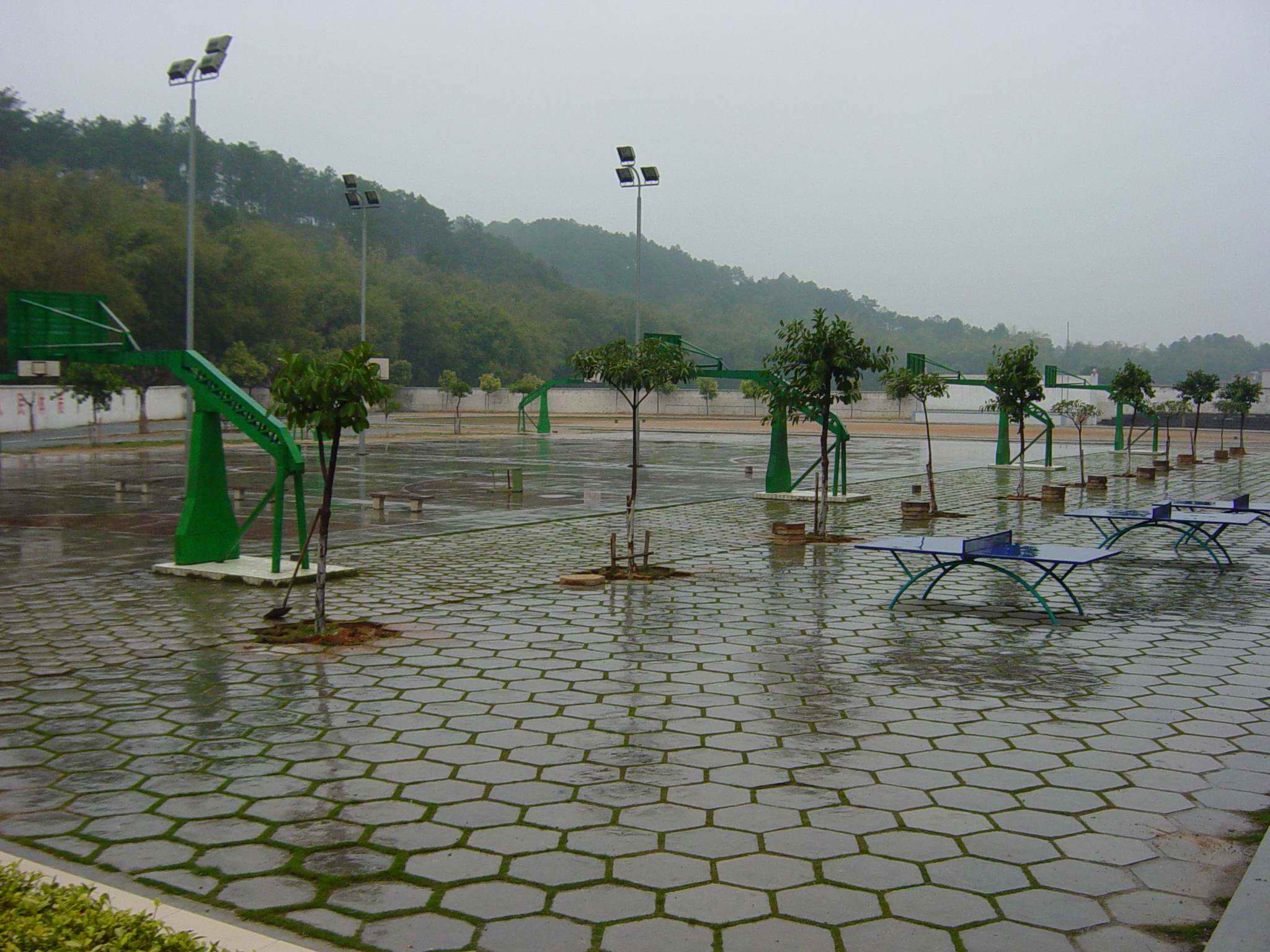 佛冈县城北中学