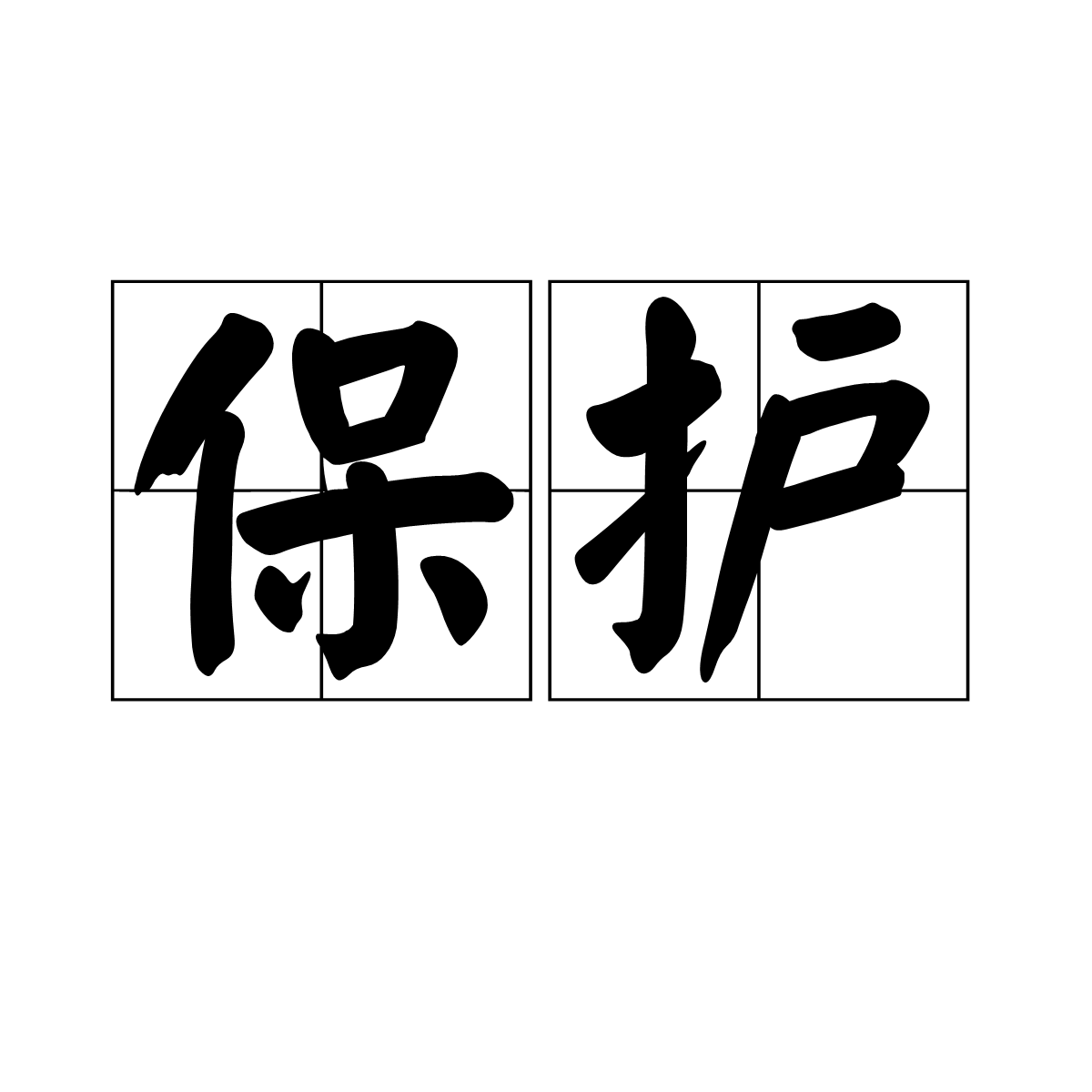 保护