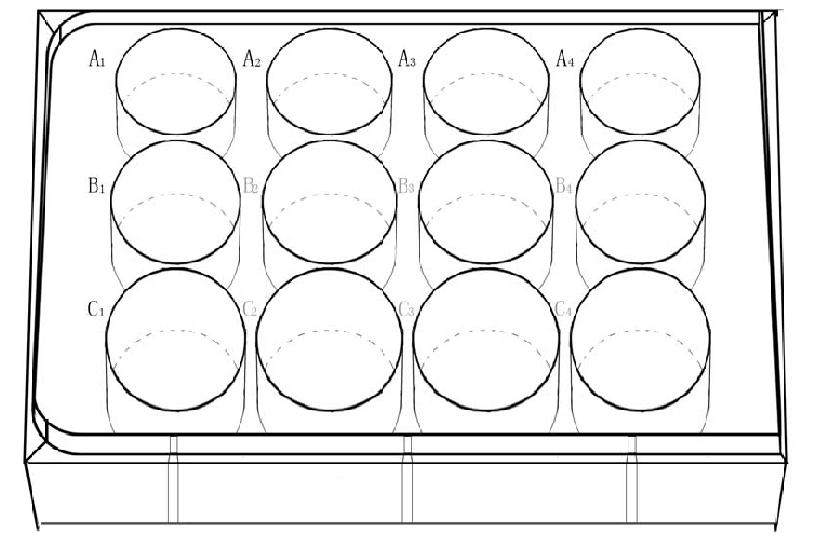 12孔板沙门氏菌定量