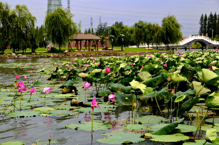  p>汉川市, a target="_blank" href="/item/湖北省/210064" data