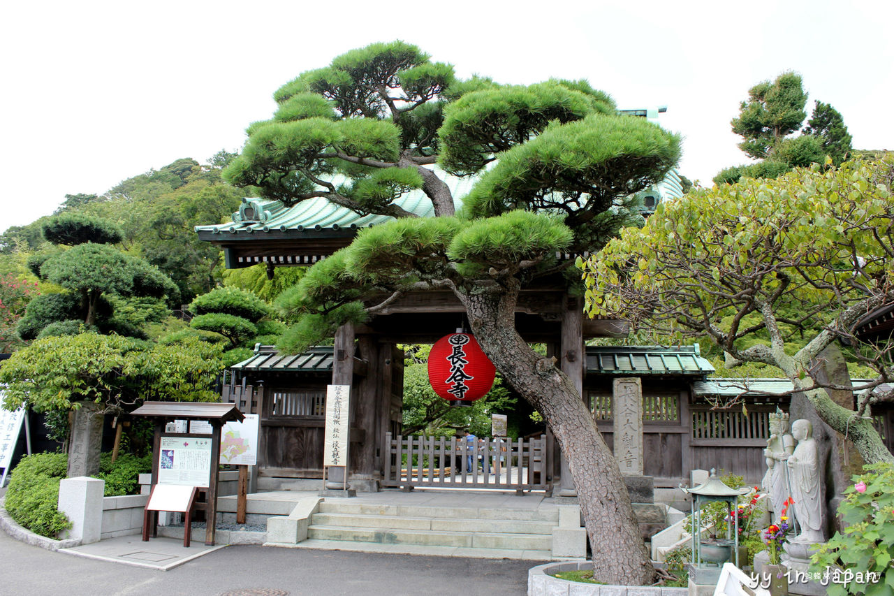 长谷寺