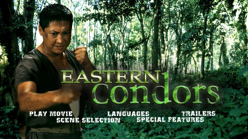 东方秃鹰easternbaldeagles(1986)