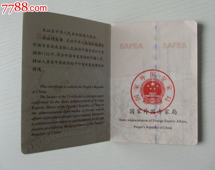 外国专家证