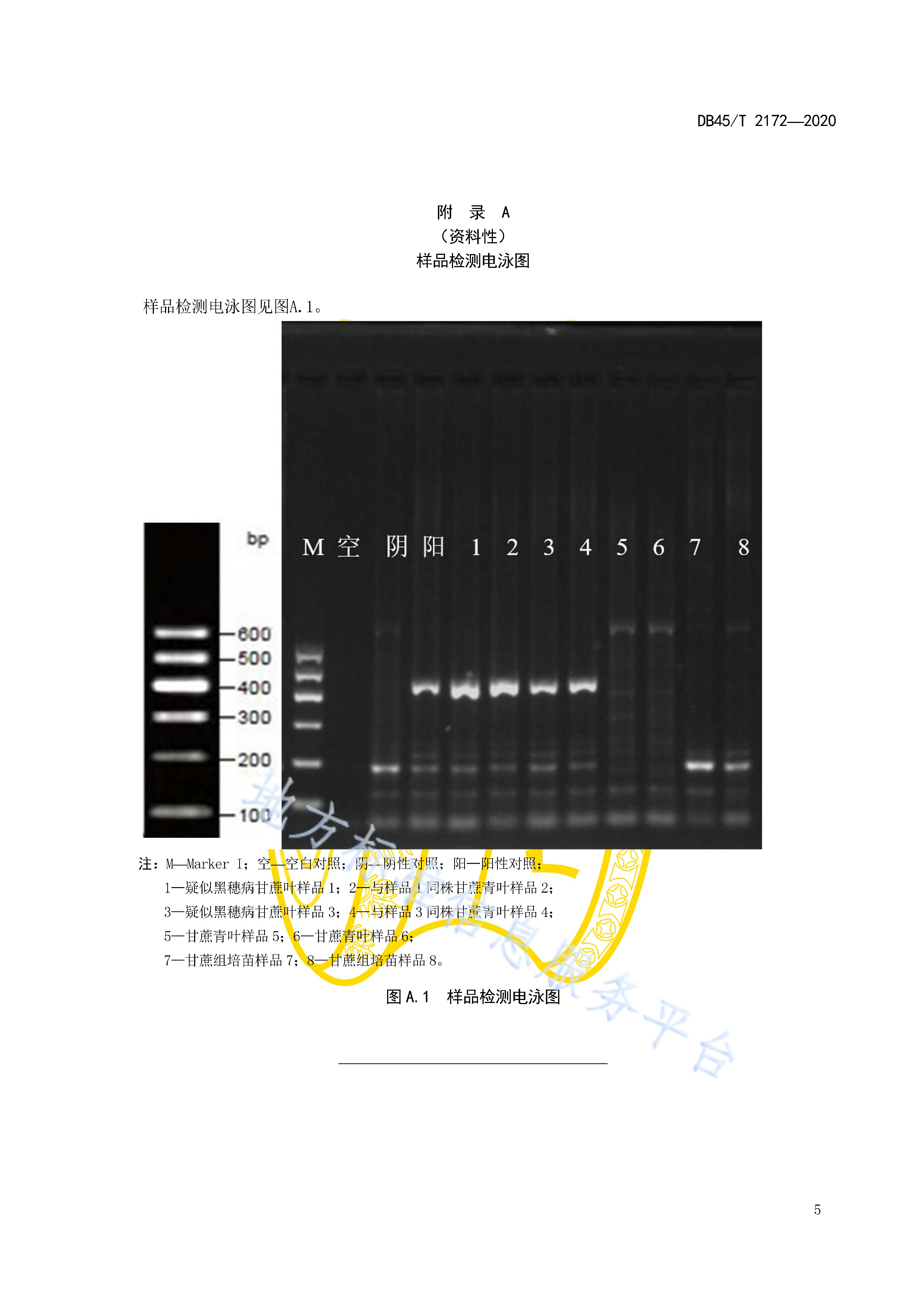  p>《甘蔗黑穗病的鉴定方法—pcr法》(db45/t 2172-2020)是2020年11月
