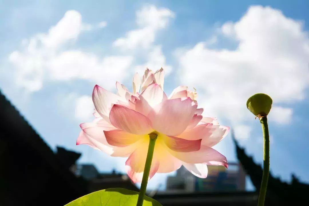 佛教：有这4种特征的人，最有福报，你有吗？_百科TA说