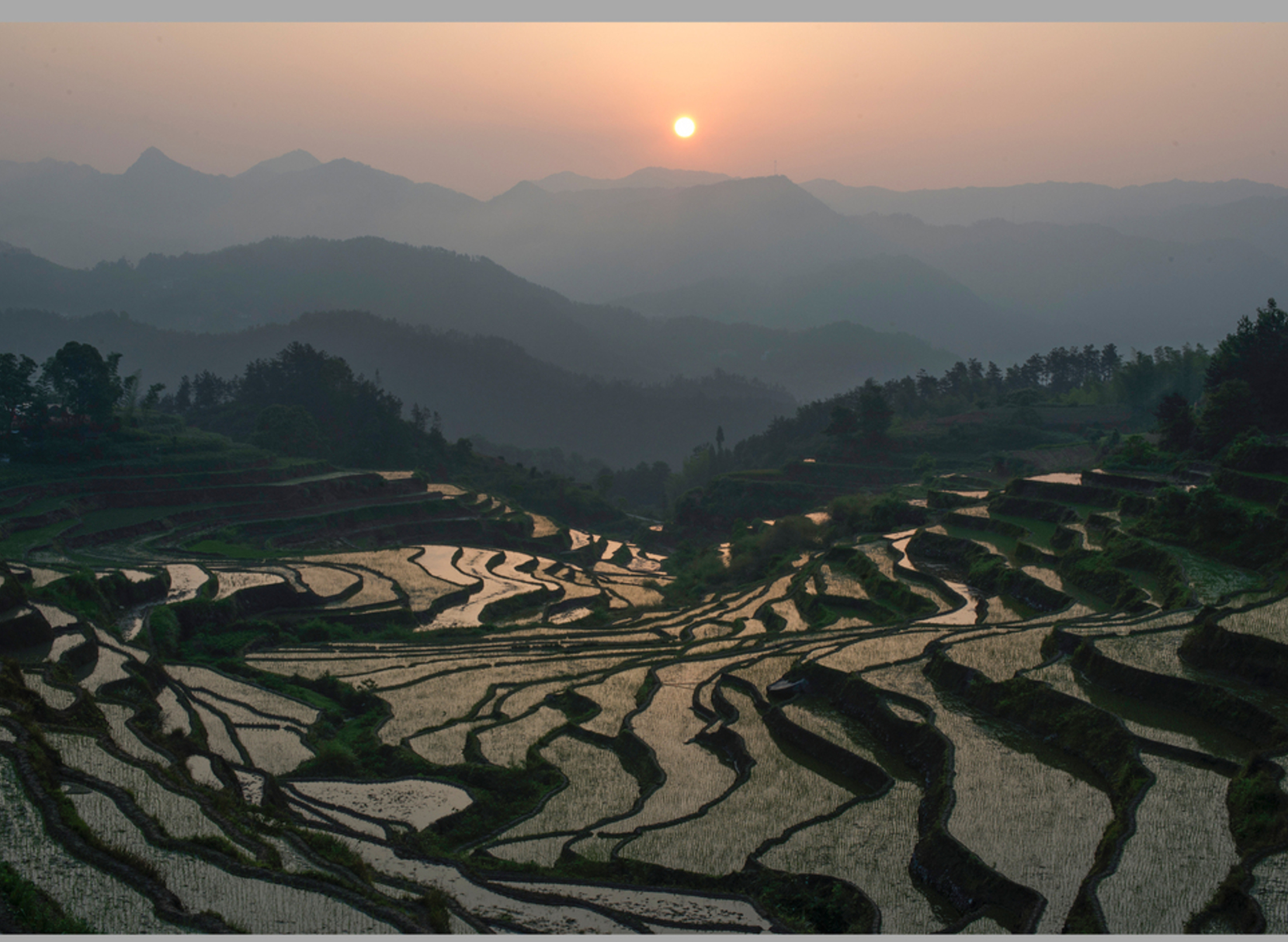 檀林镇,隶属于湖北省黄冈市 a target="_blank" href="/item/蕲春县