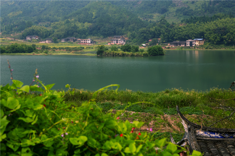 data-lemmaid="3449934">永泰县 /a>嵩口镇东南部,福州市最高峰