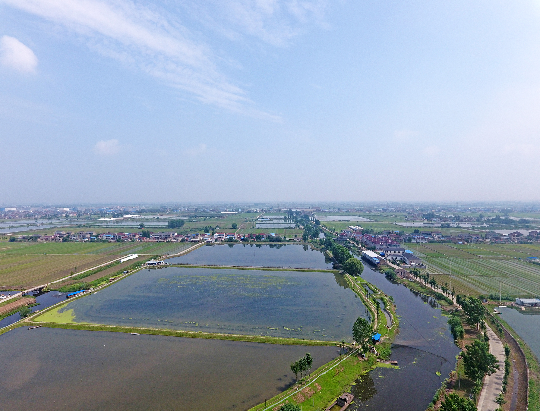  p data-id="gn35frz7em">仙河村位于东台市五烈镇政府南首,美丽传说