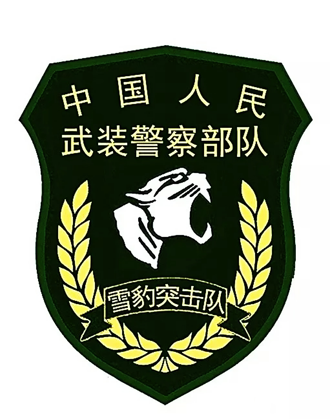 雪豹突击队