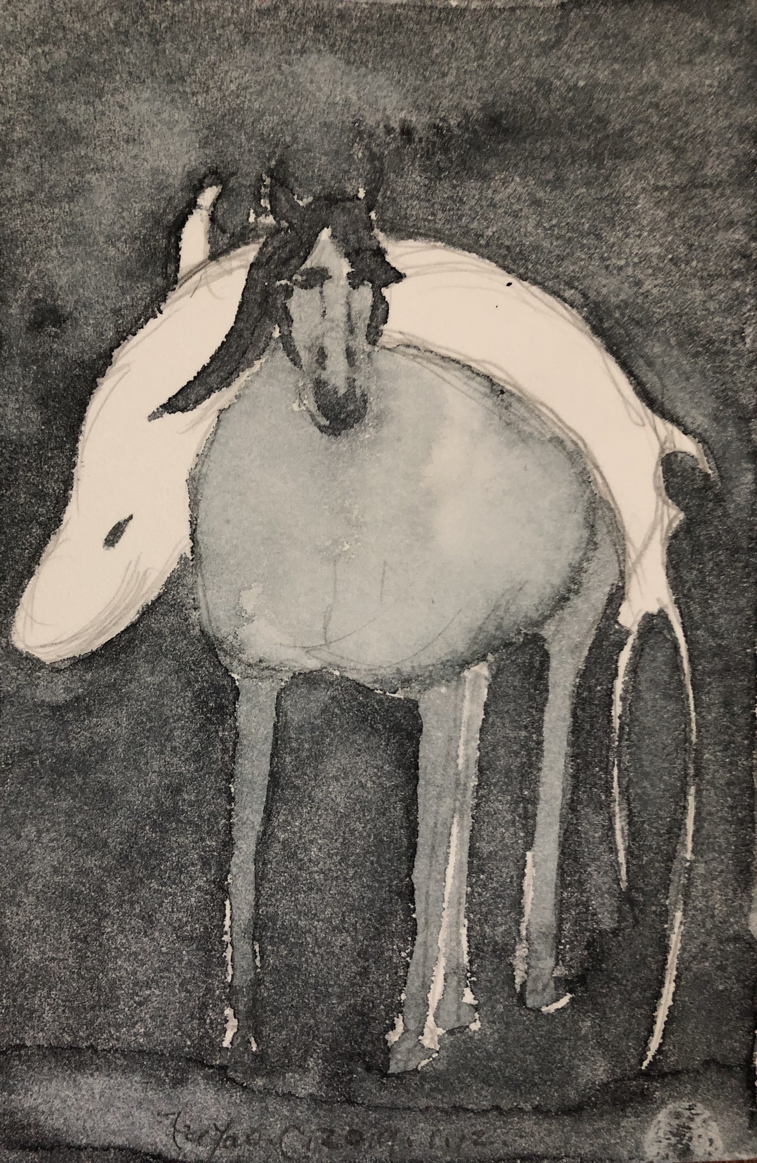  p data-id="go2eugiti3">付瑶,别名傅瑶,出生于内蒙古,毕业于 a