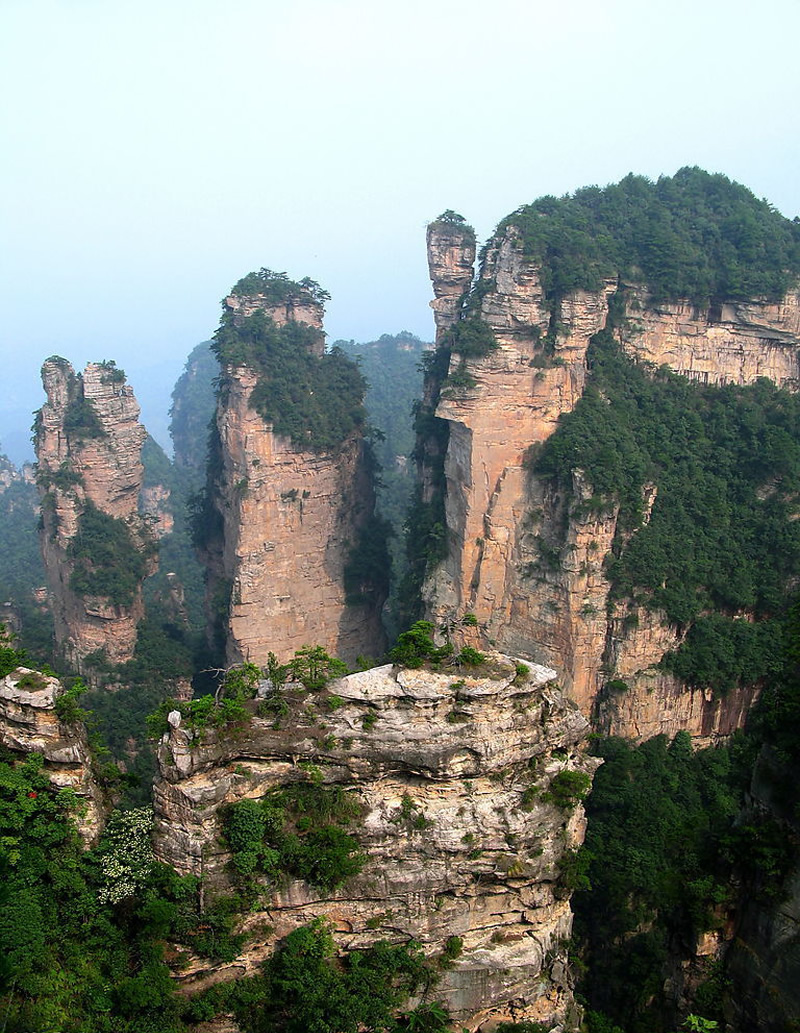 杨家界自然保护区