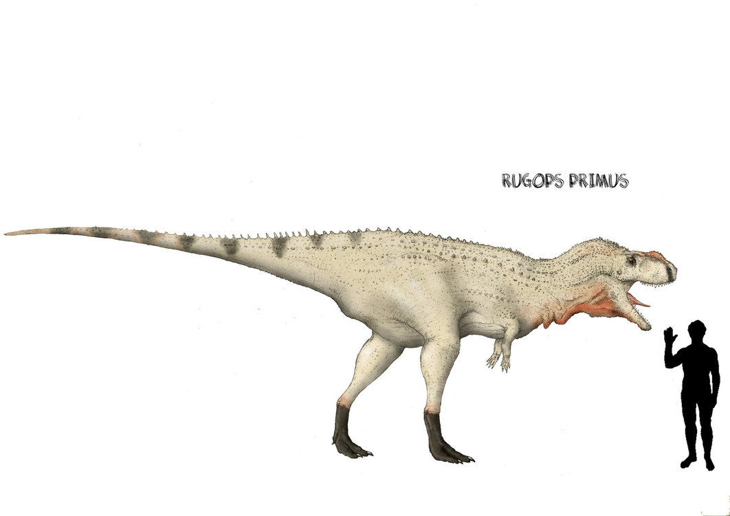  p>皱褶龙(属名:rugops)意为"有皱纹的面孔",是 a target="_blank"