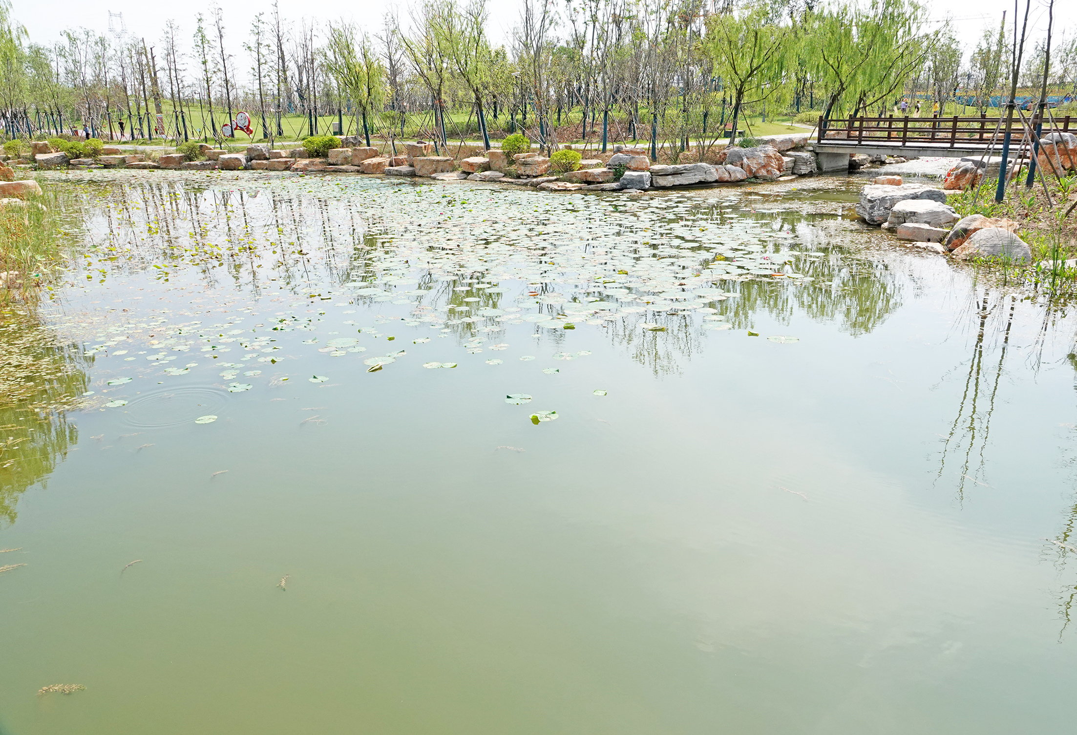  p>千鹤湖(原盘石头水库)又名仙鹤湖于鹤壁市区西北部20公里处的大河