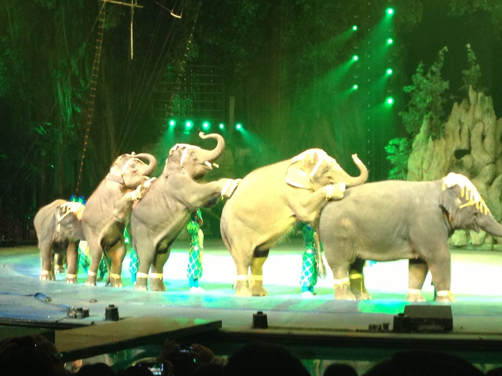  p>长隆夜间动物世界是位于中国广东省广州市 a href="#">番禺 /a>区