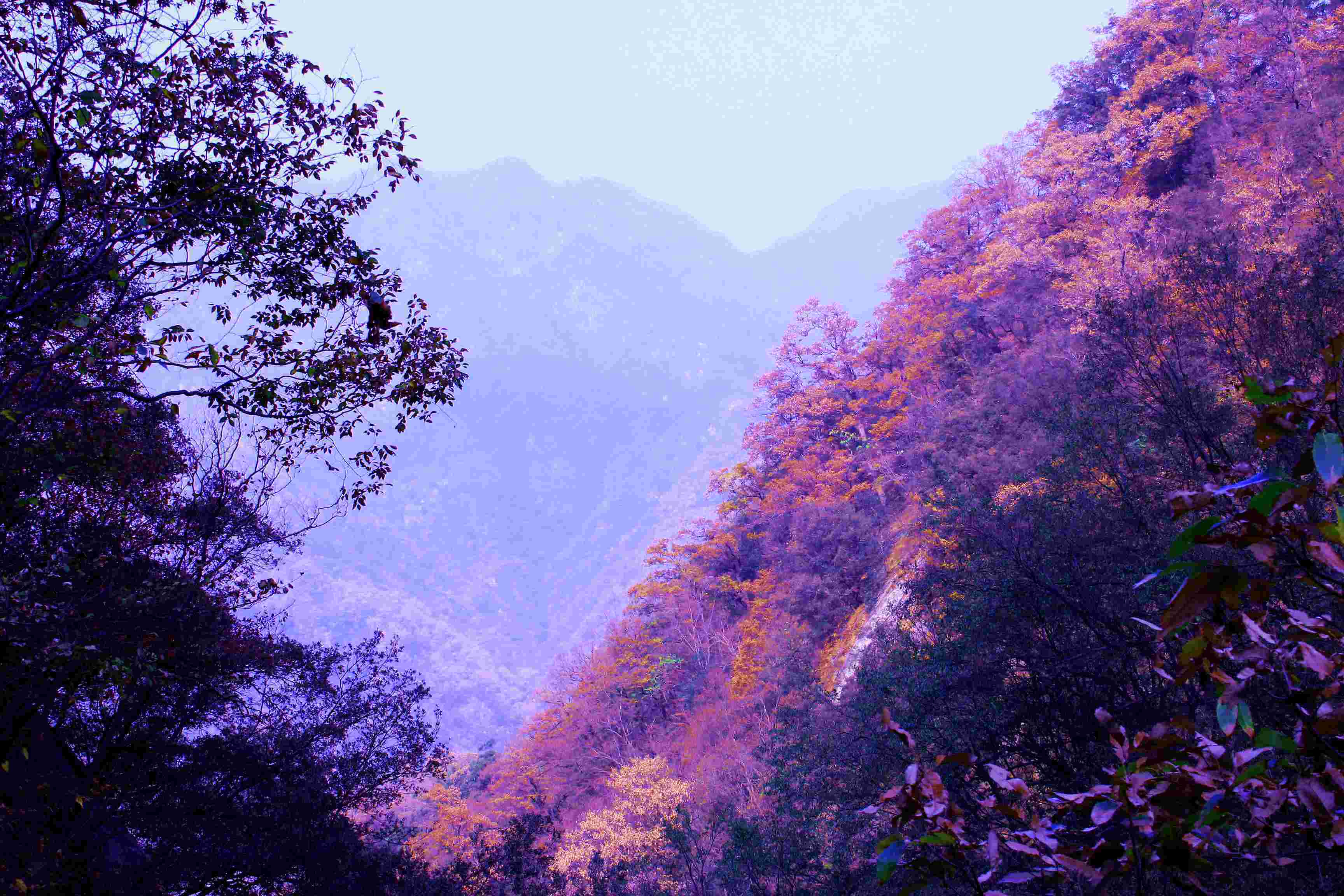 南召宝天曼景区