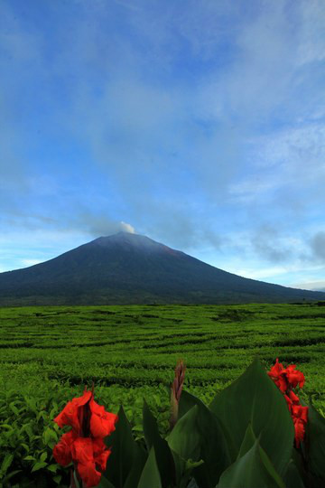 葛林芝火山
