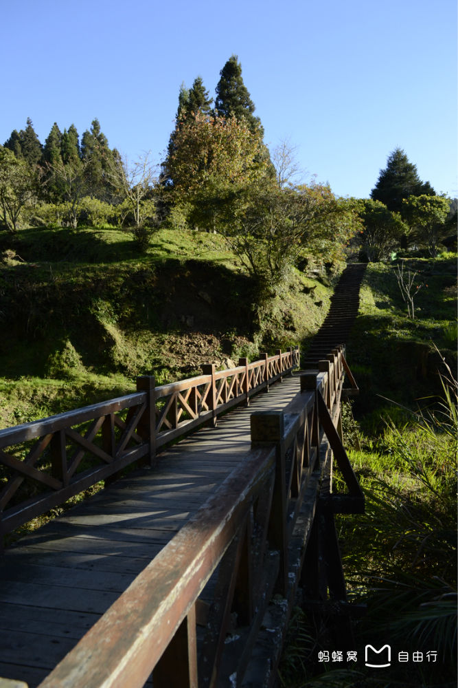  p>阿里山(ali mountain),位于 a target="_blank" href="/item/台湾