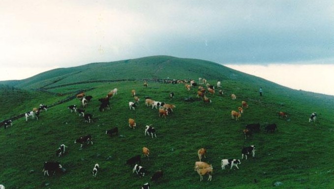  p data-id="gnwzy7en2r"> b>于都屏山牧场 /b>坐落在江西赣州于都县