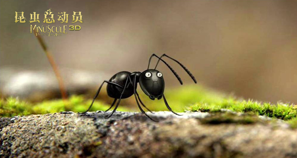 昆虫总动员