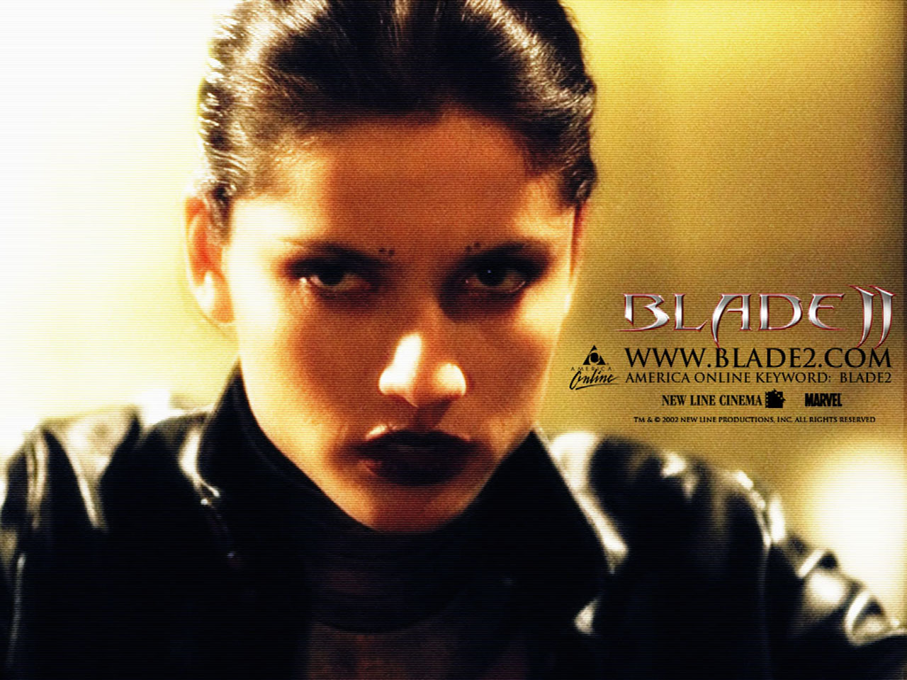刀锋战士Ⅱ