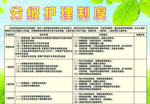 护理分级