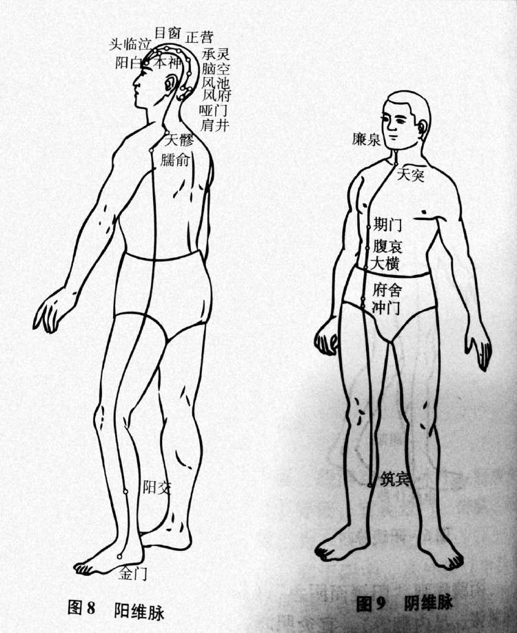  p data-id="go0iycv0dw">奇经八脉只是 a target="_blank" href="