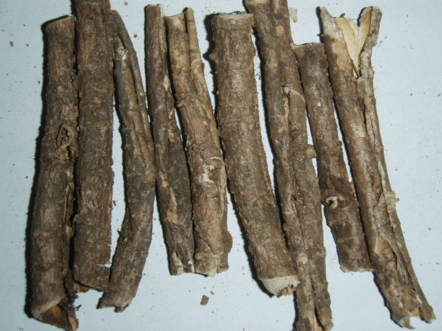  p>别名青皮树,青豆风柴,青龙捆地,相思树(《湖南药物志》),鸭公青