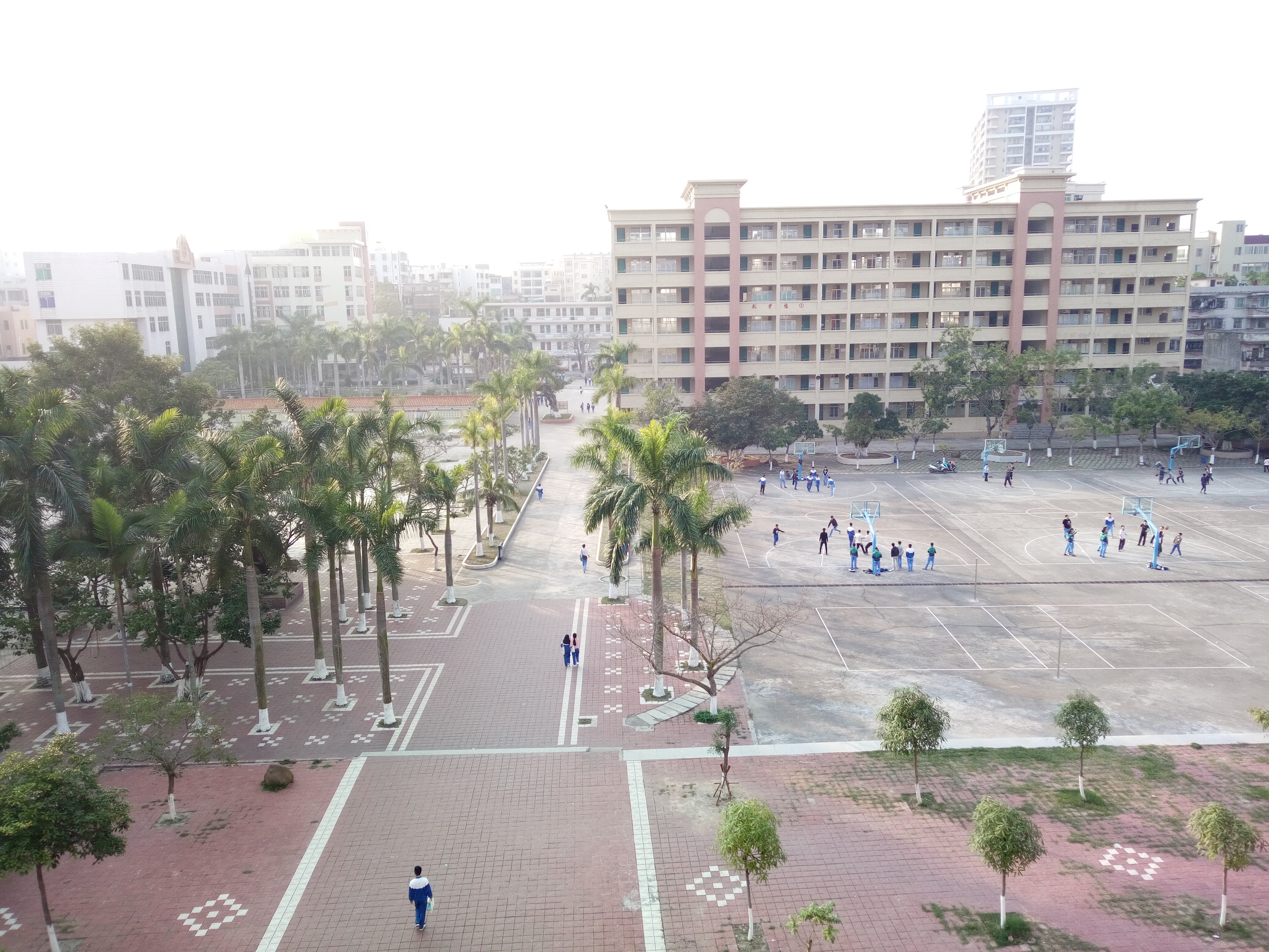 电白中学