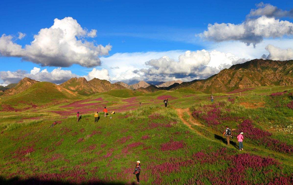 都兰国际狩猎场