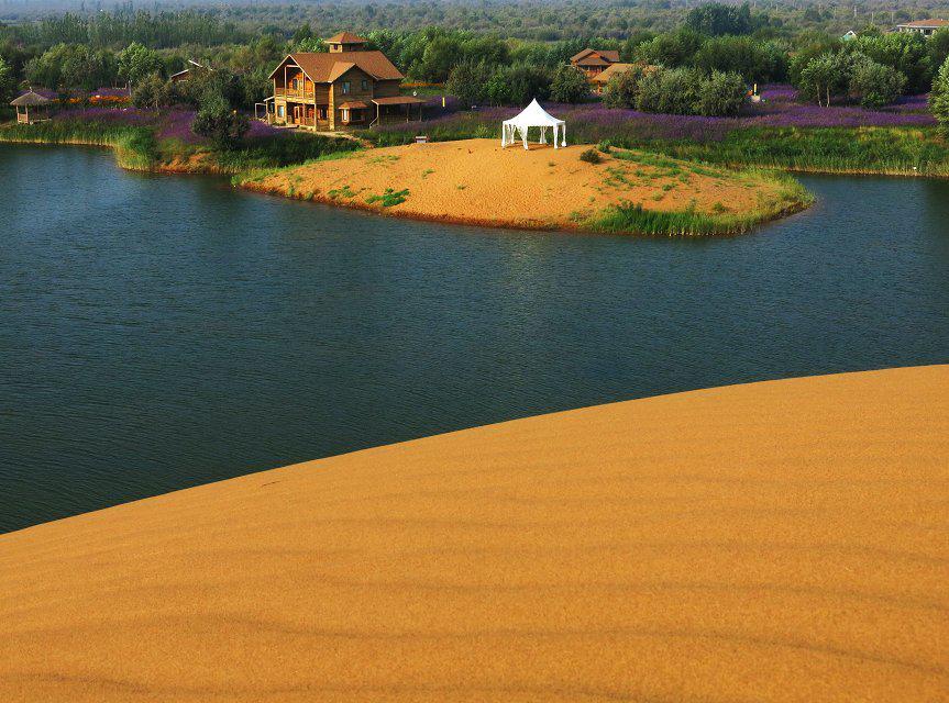 腾格里沙漠湿地金沙岛