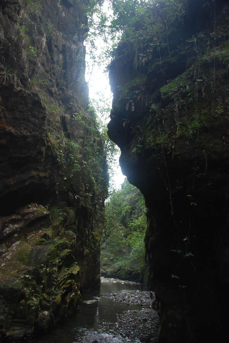 湖南永州都庞岭国家级自然保护区