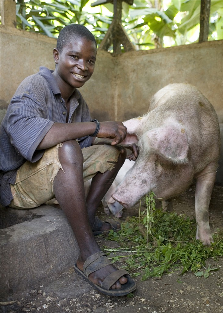 heifer international