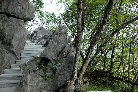将乐天阶山国家森林公园