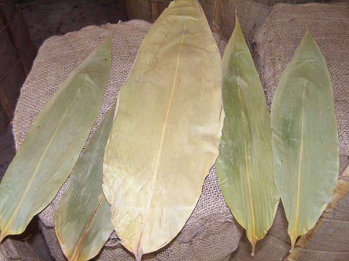 世界各地使用的种类各不相同常见的为芦苇叶箬叶以及种类繁多的粽叶