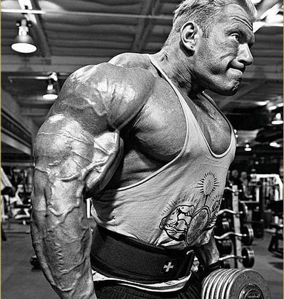  p>丹尼斯·沃尔夫(dennis wolf)是一名职业健美选手,他出生于前苏联